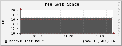 node28 swap_free